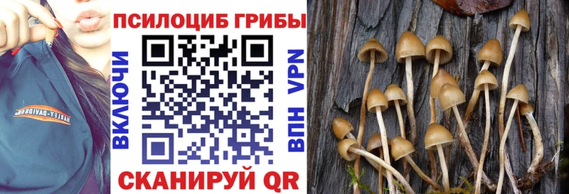 Галлюциногенные грибы мицелий  цены   Калач 